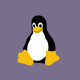 常用 Linux 命令